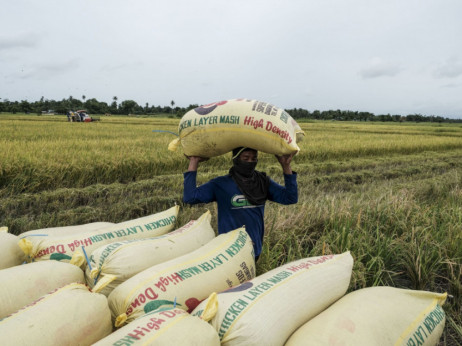 Indija prepovedala izvoz riža; kdo bo občutil rast cen?