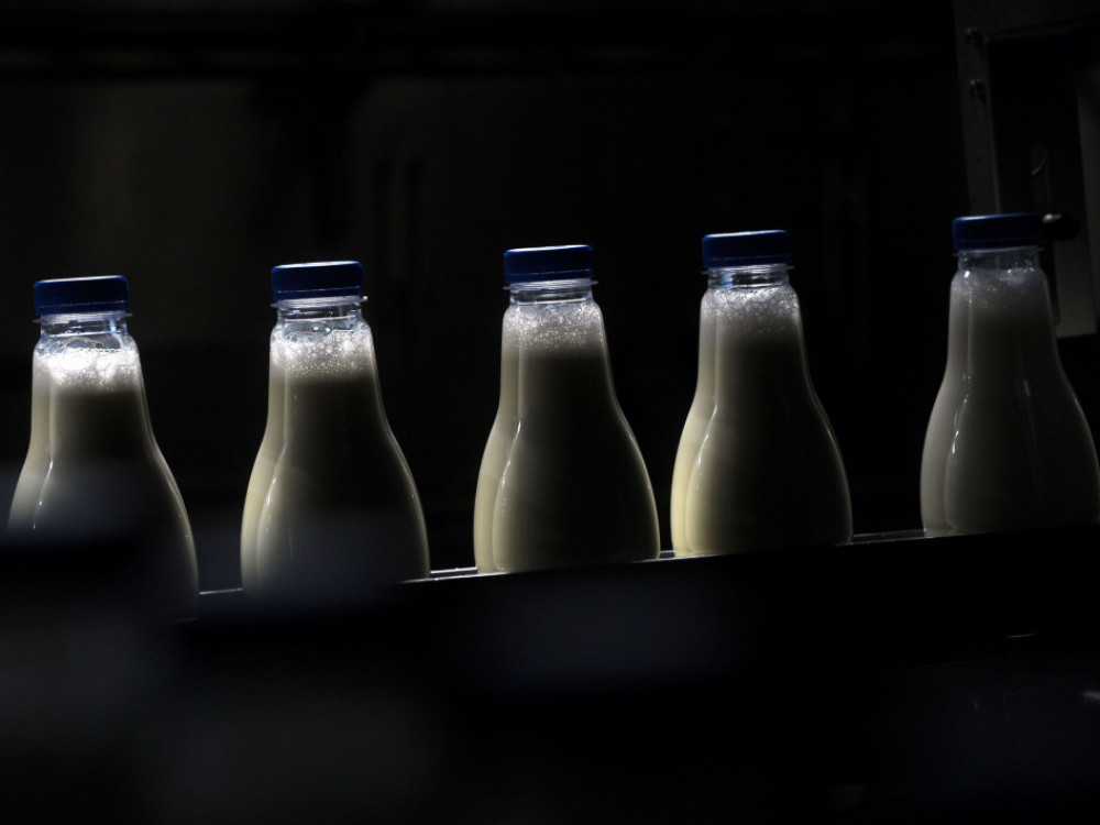 Cene surovega mleka vse višje, ponudba v regiji Adria rekordno nizka