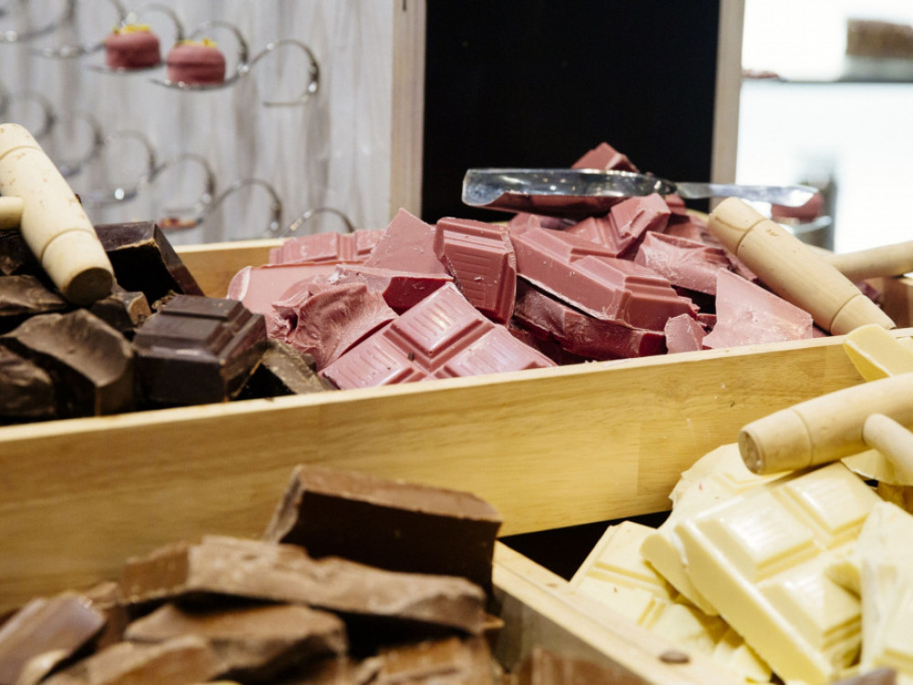 Salmonela v največji tovarni čokolade na svetu