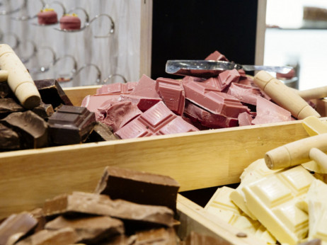 Salmonela v največji tovarni čokolade na svetu