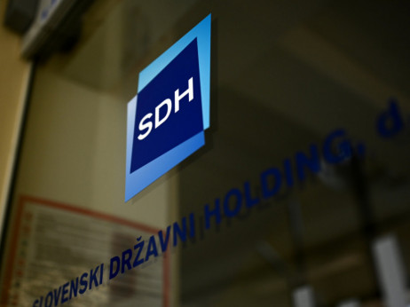 SDH zamenjal večino nadzornikov v HSE