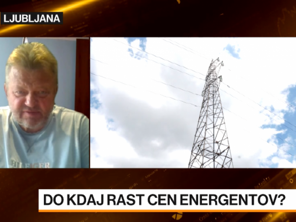 Mervar, Eles:  Podjetja naj počakajo z zakupom elektrike