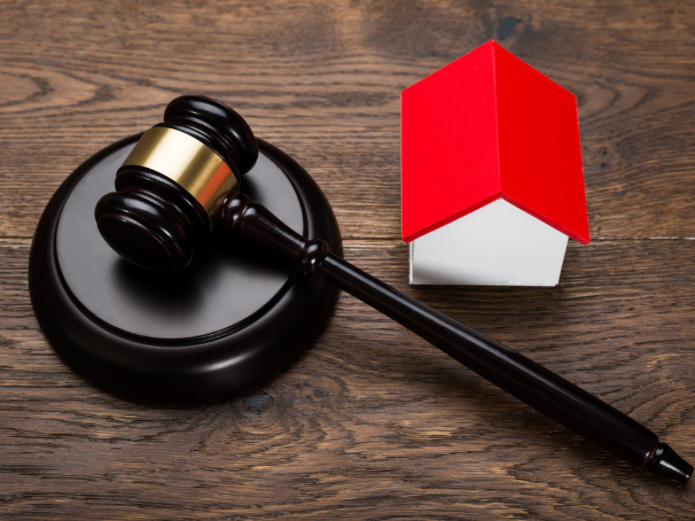 Kaj vse boste lahko novembra kupili na dražbah