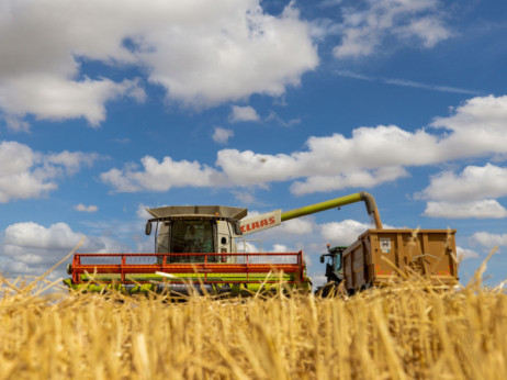 Zaostrovanje ukrajinske vojne (znova) poganja rast cen žit