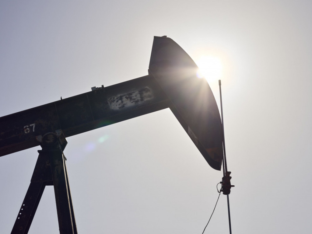 Analiza: Po nihajnem lanskem letu se cene surovin umirjajo