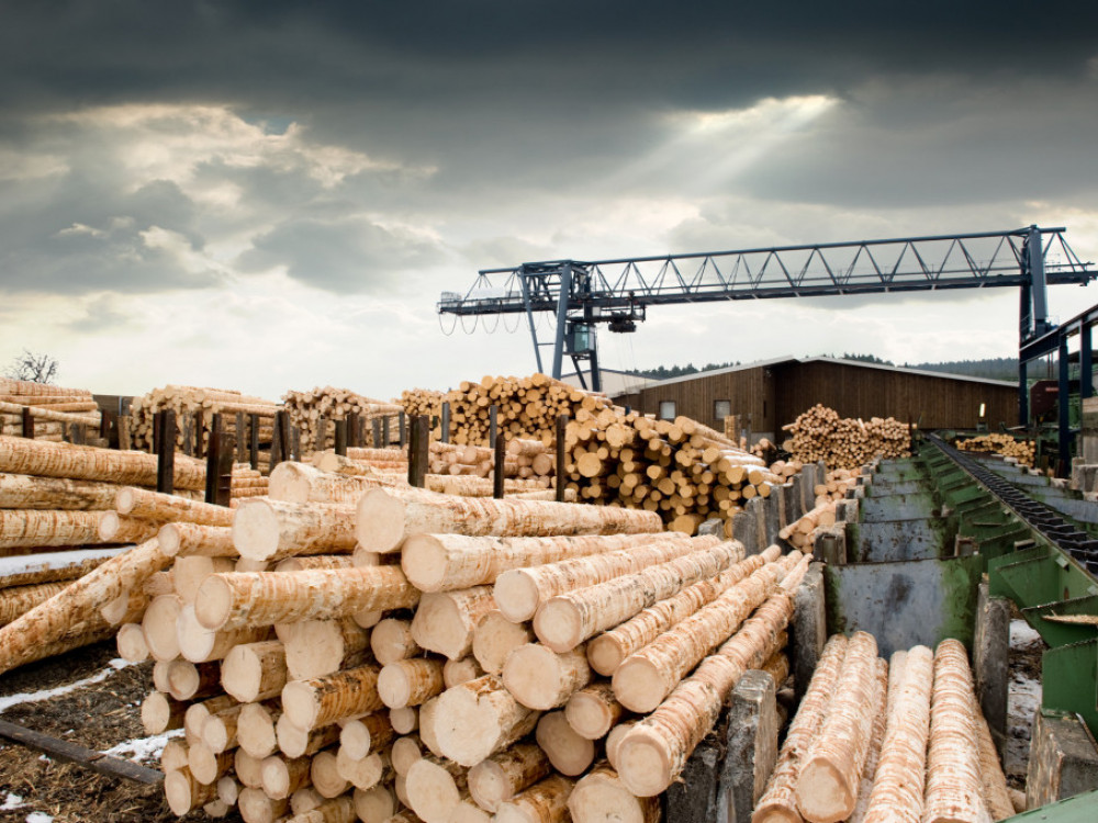 Državni in evropski denar za lesno industrijo