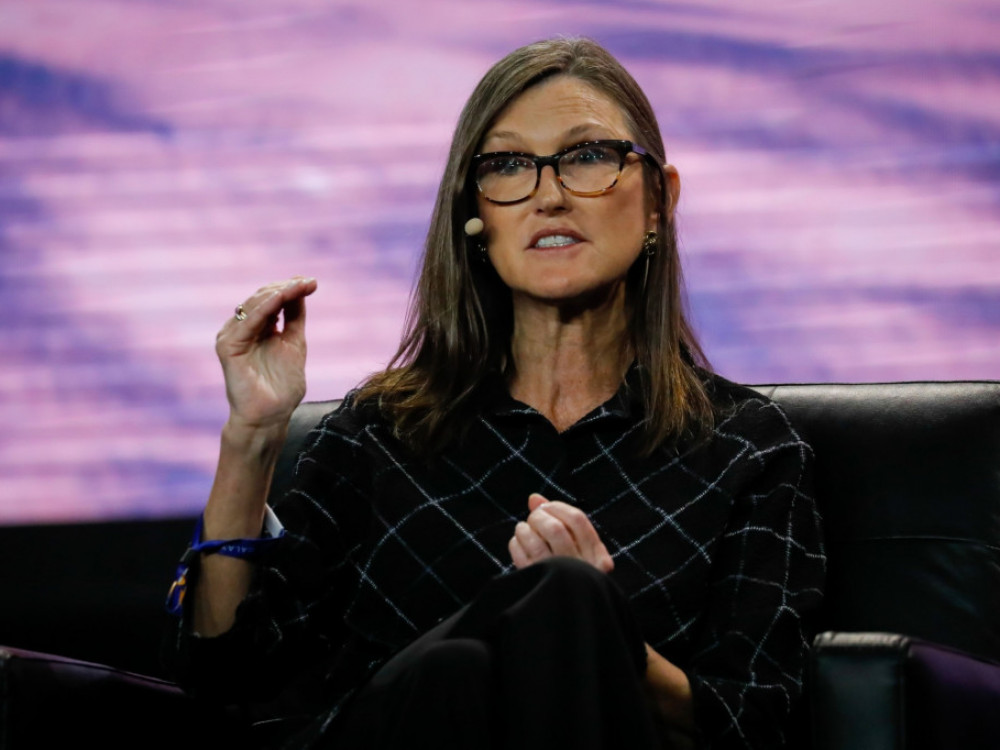 Cathie Wood s skladom Ark išče 'manj očitne' delnice kot Nvidia