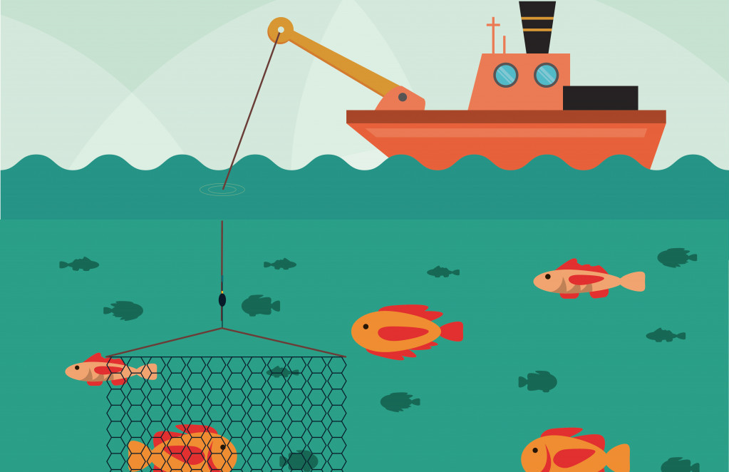 Google lovi ribice tudi v regiji Adria