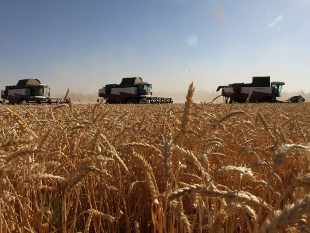 Pretresi v Rusiji in surovine: Dvig cene pšenice