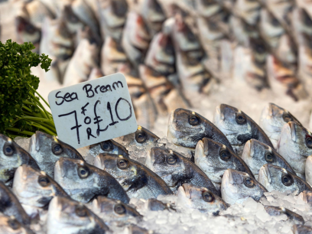 Hrvaška ribja industrija: Rast obsega, visoki vložki, majhne marže