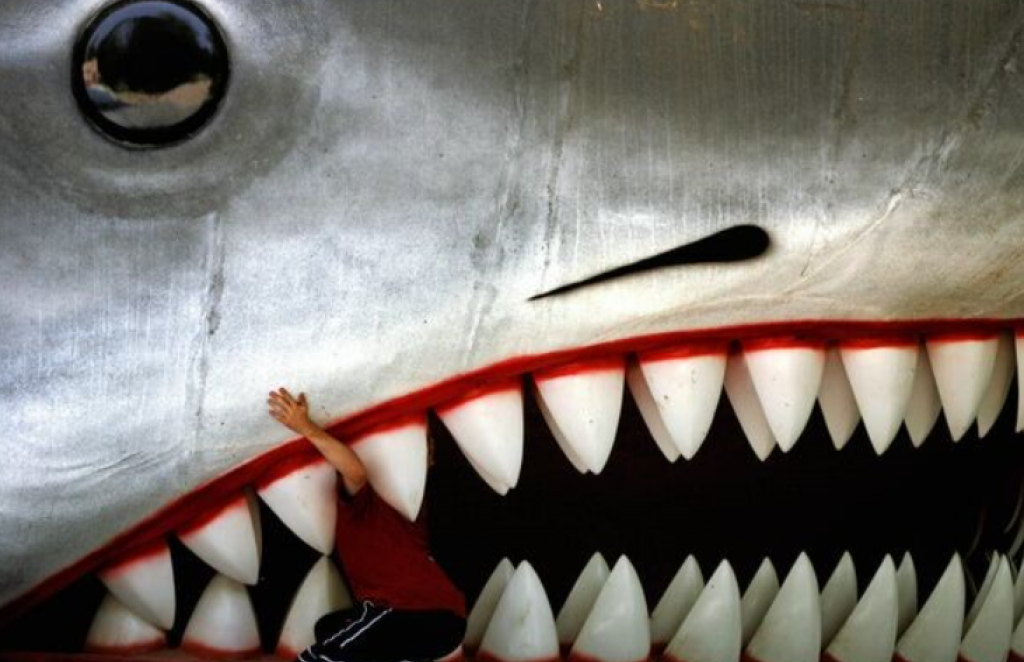 Pomanjkanje vode bo prizadelo tudi vlagatelje