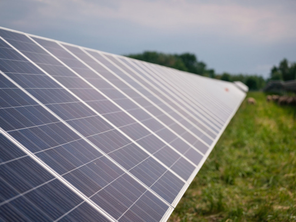 ALFI Renewables skupaj s Kostićem v prevzem dveh srbskih podjetij