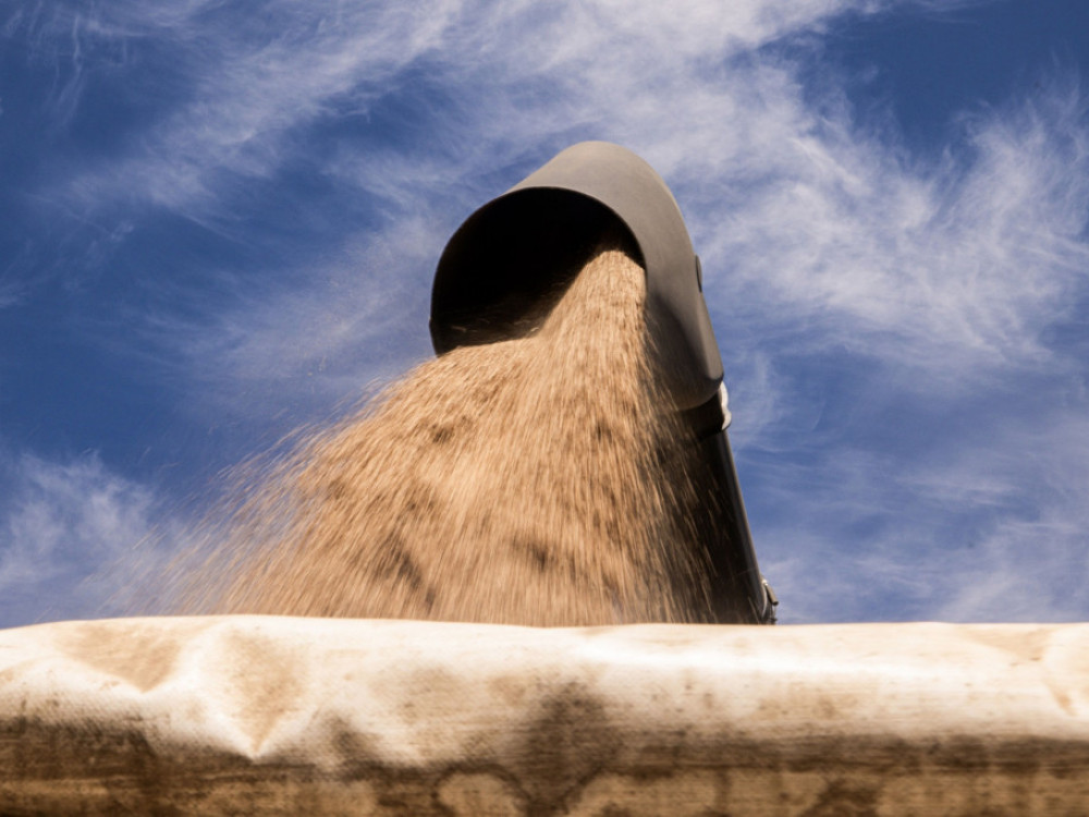 Ukrajina toži evropske sosede zaradi prepovedi uvoza žita