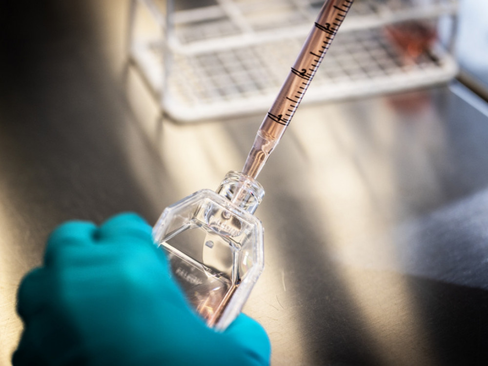 Delnica Novo Nordiska z novim zdravilom za hujšanje znova močno zrasla