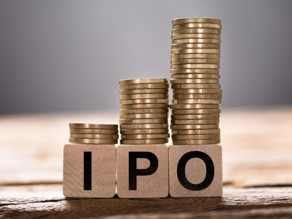 Kdo je letos izdal delnice in v kolikšnem znesku