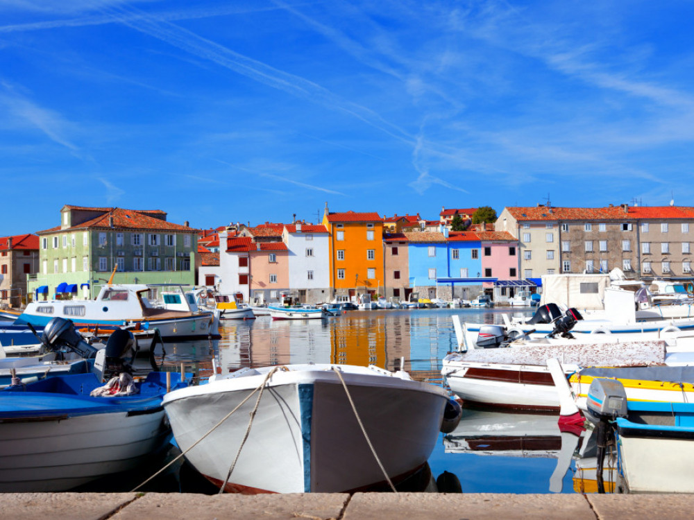 Kaj so na hrvaških dražbah kupovali Slovenci