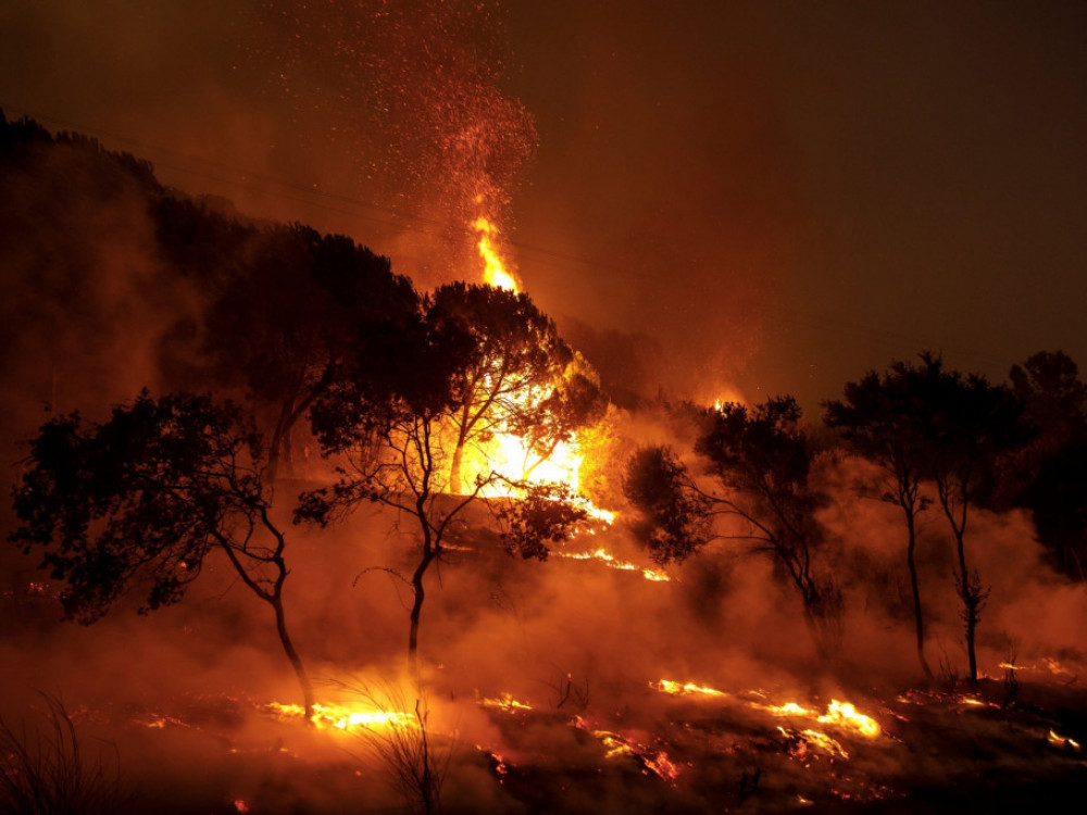 Poletni požari Evropo stali dobre štiri milijarde evrov