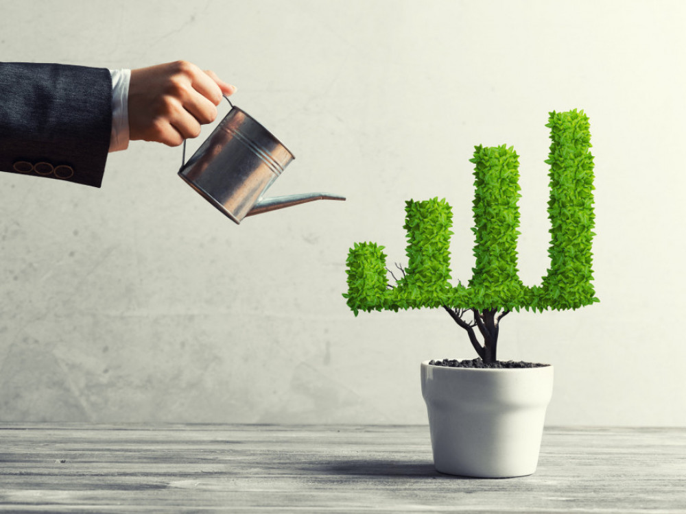 Pomanjkanje podatkov, strokovnjakov in negotovost zavirajo zelene naložbe