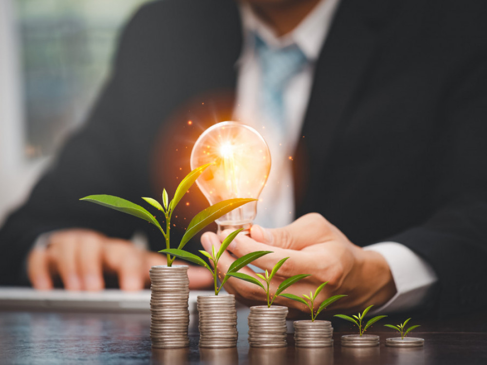 V katere energetske vire bi vlagali vodilni v slovenski energetiki?