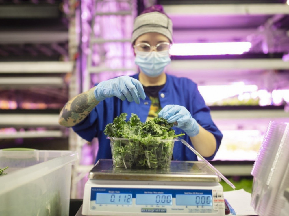 Številni kmetje generacije Z se zemlje ne bodo nikoli dotaknili