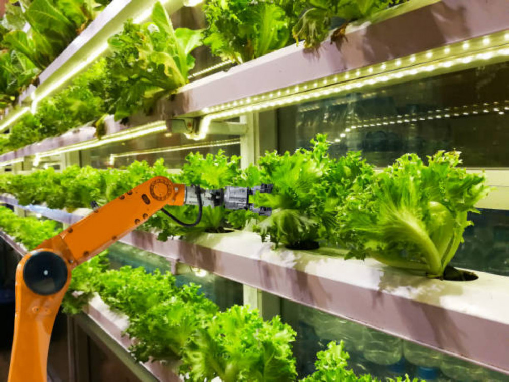 Vertikalno kmetijstvo – nov trend mestne pridelave hrane?