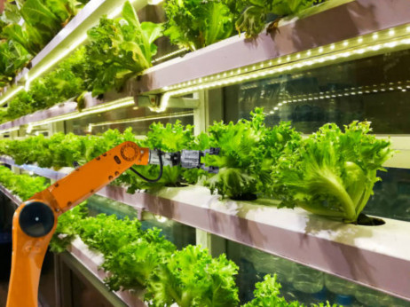 Vertikalno kmetijstvo – nov trend mestne pridelave hrane?