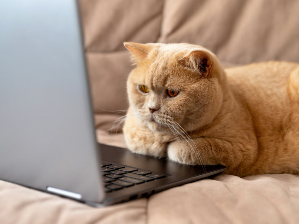 Je davčni odpustek pri ljudski obveznici diskriminatoren?