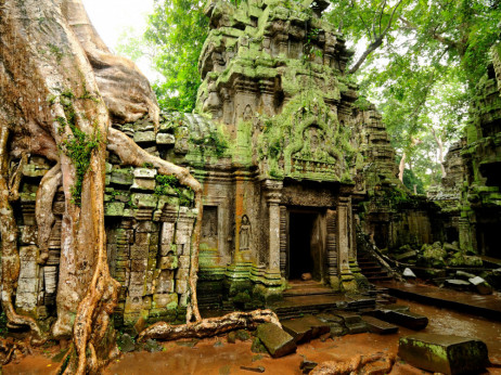 Tajska in Kambodža razglasili premirje po tednih spopadov