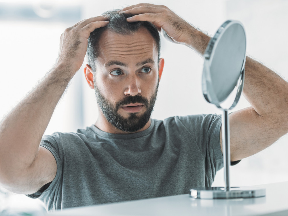 Presaditev las vse bolj priljubljena. Koliko stane?