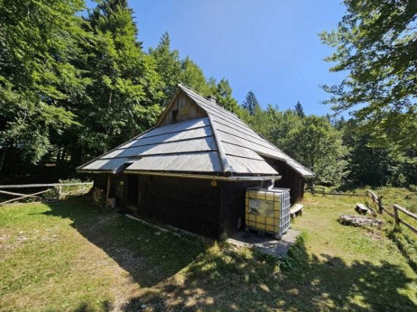 Pregled avgustovskih dražb, ki jih ne smete zamuditi