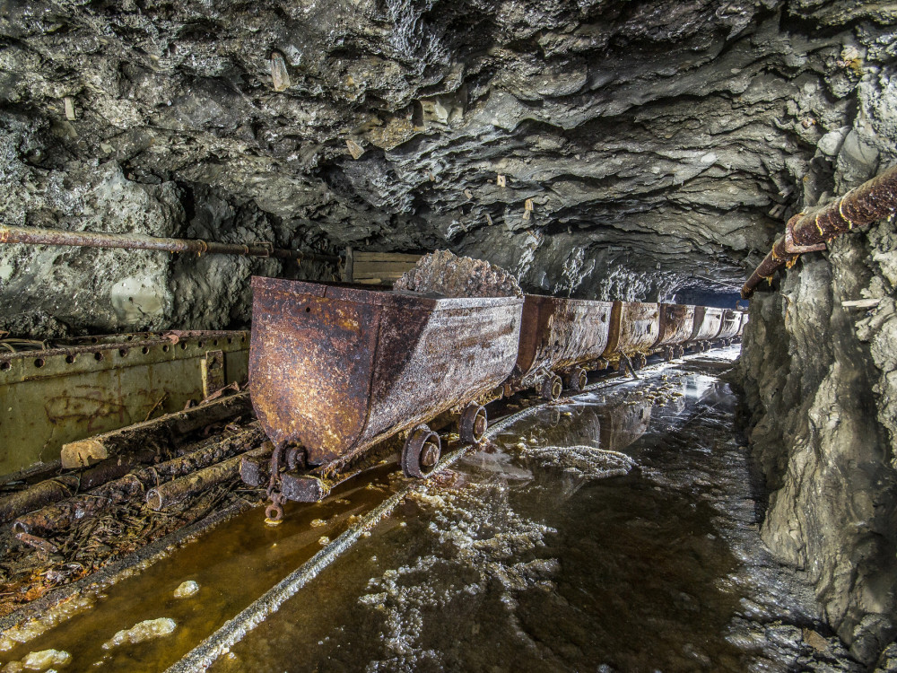 Industrija z najhitrejšo rastjo, ki je pogosto spregledana: povpraševanje narašča, ponudba omejena