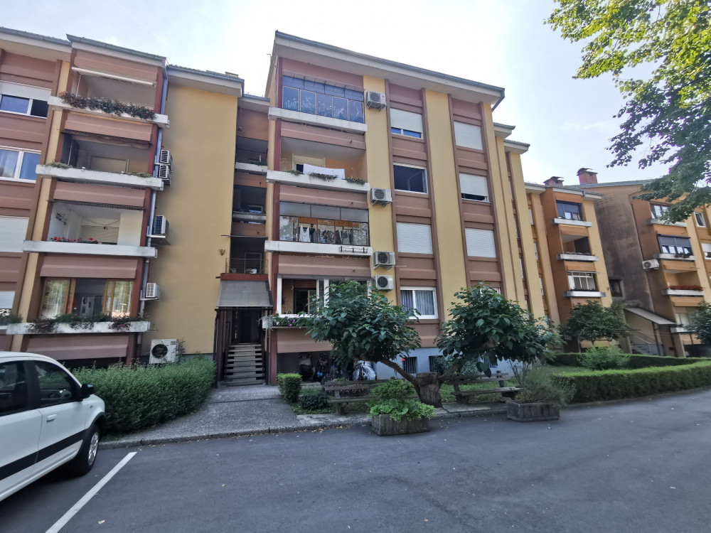 Kaj vse boste lahko dražili v času julijskih dopustov?
