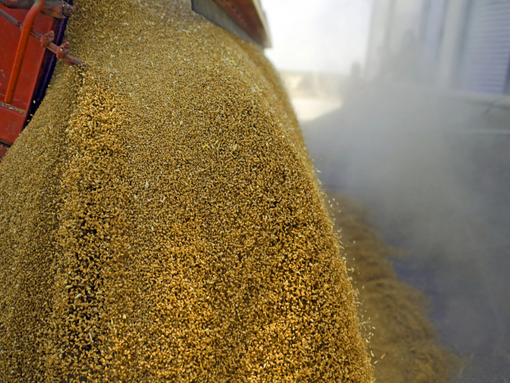 Kaj o trgovinskem sporazumu Xi-Trump pravijo cene koruze?