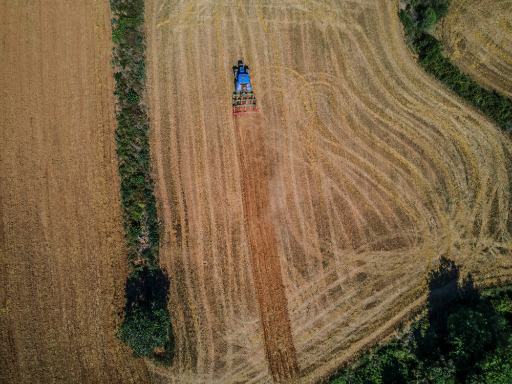 Razbeljeno vroče poletje