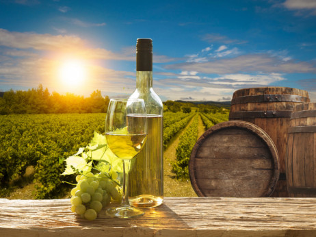 Z nami na 2.817 kilometrov dolg vinski maraton po balkanskih vinogradih