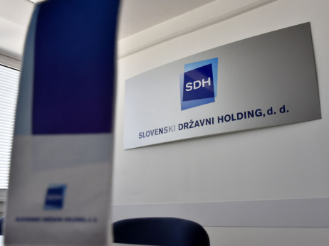 SDH v 2024 pobral skoraj trikrat več dividend, letos načrtuje še več
