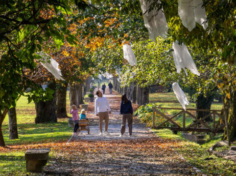 Jesenske počitnice: sedem idej za enodnevni družinski izlet po Sloveniji