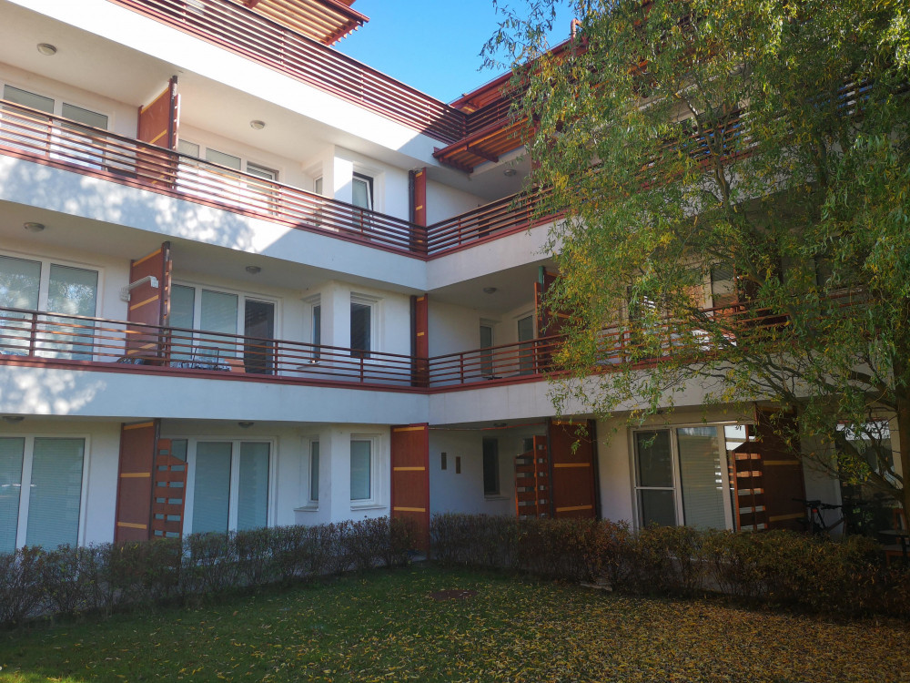 Novembrske dražbe, ki jih ne smete zamuditi