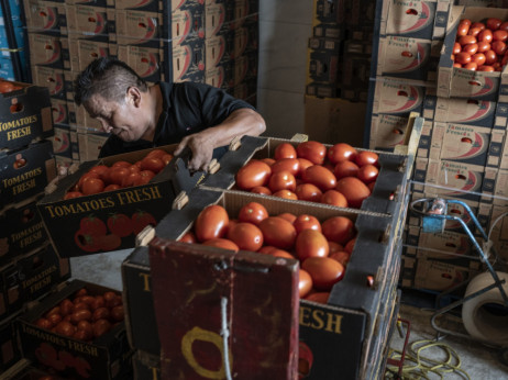 Trump znižal carine na govedino in kavo, ker visoke cene jezijo volivce