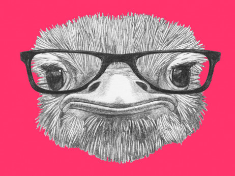 Nojevski efekt – je namerno ignoriranje postala strategija preživetja?