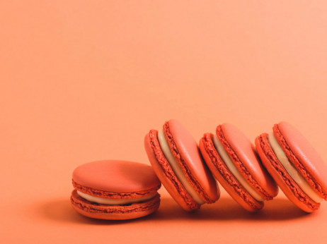 Kaj bomo jedli in pili v 2026