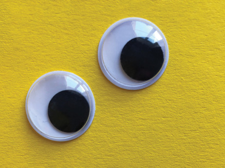 Top 10 podjetij iz regije, na katera je dobro biti pozoren v 2026