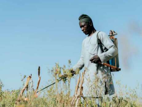 Prepovedani pesticidi iz Evrope zastrupljajo Nigerijo