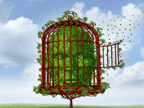 Zaščita temeljne človekove pravice do svobode izražanja v digitalni dobi