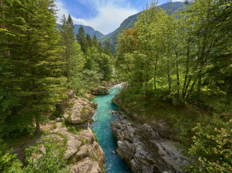 Digitalni detoks v Sloveniji: najlepši kotički, kjer ni potrebe po signalu