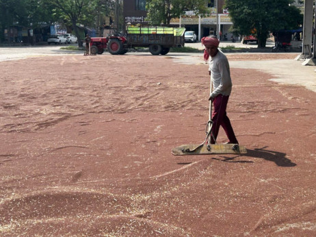 Globalna tekma za gnojila, da ne bomo ostali lačni