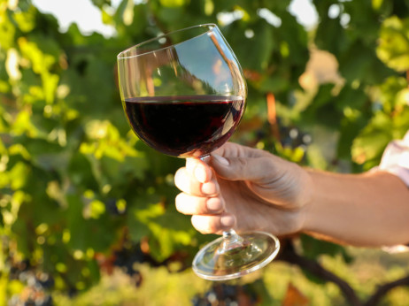 Peter Gönc: "Med vinogradom in steklenico je tisoč odločitev in vse vplivajo na vino"