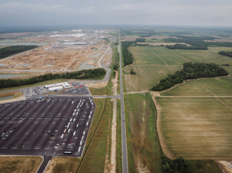 Metina velika stava v močvirjih Louisiane